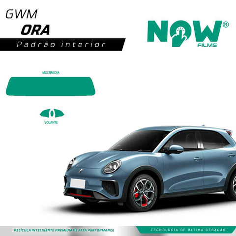 Kit Película Proteção Interna GWM ORA (A PARTIR 2023)